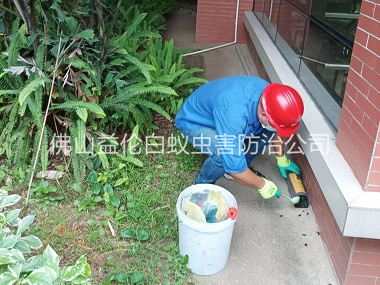 南海施药灭鼠工程